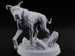 Collar Jangling Spooked Hound turntable