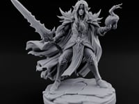 Spell And Sword Wielding Elf Spellblade turntable