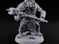 Shield Bearing Warband Pig Orc Warrior E turntable