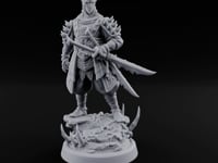 Twin Blade Readying Masked Elf Warrior turntable