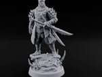 Twin Blade Readying Masked Elf Warrior turntable