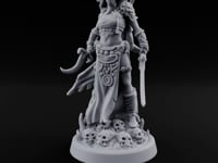 Skull Treading Dual Wielding Human Assassin turntable