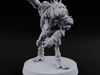 Shell Shocked Brawling Tortle Fighter A turntable