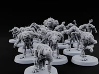 Shell Shocked Brawling Tortle Fantasy Football Team turntable