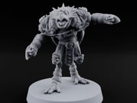 Shell Shocked Brawling Tortle Fighter C turntable