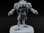 Shell Shocked Brawling Tortle Fighter D turntable