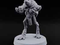Shell Shocked Brawling Tortle Fighter E turntable