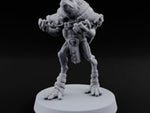 Shell Shocked Brawling Tortle Fighter E turntable
