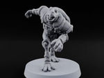 Shell Shocked Brawling Tortle Fighter I turntable