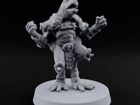 Shell Shocked Brawling Tortle Fighter J turntable