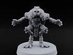 Shell Shocked Brawling Tortle Fighter K turntable