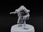 Shell Shocked Brawling Tortle Fighter L turntable