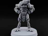 Shell Shocked Brawling Tortle Fighter N turntable