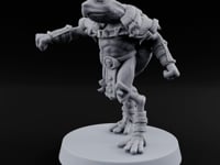 Shell Shocked Brawling Tortle Fighter M turntable