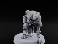 Shell Shocked Brawling Tortle Fighter O turntable
