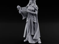 Harp Plucking Elf Bard turntable