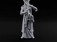 Flute Playing Elf Bard turntable