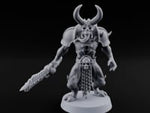Skull Bearing Demon Warrior D turntable