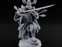 Blade Levelling Samurai Lord turntable