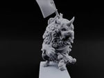 Lion Dog Riding Mounted Thunder Warrior C turntable