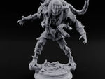 Corruption Spreading Human Warlock C turntable