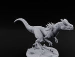 Snapping Frenzy Raptor Beast D turntable