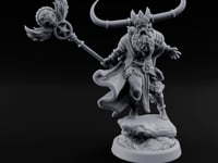 Winged Staff Wielding Shaman turntable