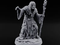 Claw Beckoning Human Swamp Priest turntable