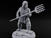 Pitchfork Levelling Guard turntable