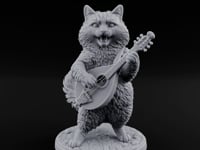Lute Strumming Tabaxi Bard turntable