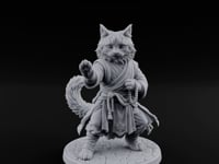Paw Striking Tabaxi Monk turntable