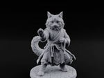 Paw Striking Tabaxi Monk turntable