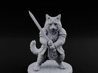 Blade Bracing Tabaxi Fighter turntable