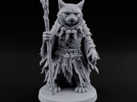 Skull Staff Wielding Tabaxi Necromancer turntable