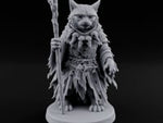 Skull Staff Wielding Tabaxi Necromancer turntable