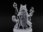 Flame Conjuring Tabaxi Sorcerer turntable