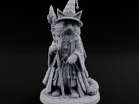 Star Hat Wearing Tabaxi Wizard turntable
