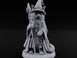 Star Hat Wearing Tabaxi Wizard turntable