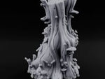 Shelf-Fungus Bracket-Clustered Tall Mushroom Forest Trunk turntable