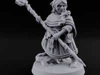 Staff Brandishing Crouching Halfling Empath turntable