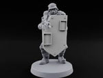 Rifle Bearing Shield Wielding Trooper B turntable