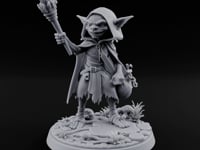 Torch Brandishing Goblin Thief turntable