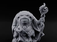 Staff Clutching Bullywug Wizard turntable