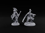 Staff And Sword Striking Human Sentinel Knights turntable
