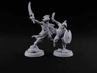 Cutlass And Shield Leaping Human Swashbucklers turntable