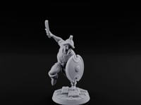Cutlass And Shield Leaping Human Swashbuckler Model B turntable