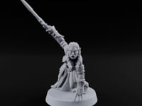 Acrobatically Poised to Strike Elf Bladesinger E turntable