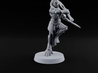 Acrobatically Poised to Strike Elf Bladesinger D turntable