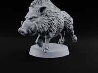 Running Wild Feral Beast and Elf Beastamer B turntable