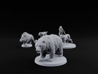 Running Wild Feral Beasts and Elf Beastamer turntable